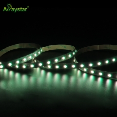5050 Series LED Strip - ART-50505-60-RGBW-24